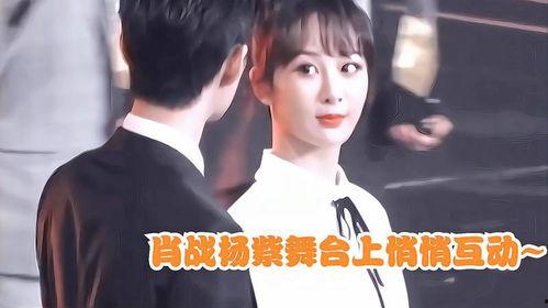 肖战杨紫最新圈内爆料是真的吗